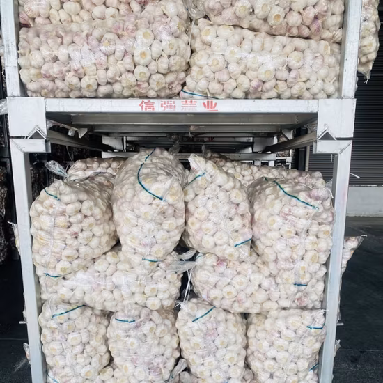 新鮮な天然ホワイトガーリックパウダーグレードA