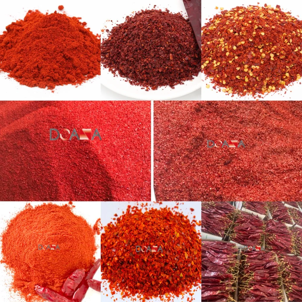 Chinese Hot Sale Paprika Powder Dried Red Chili Pepper