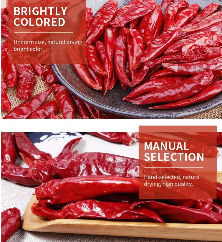 Chili Various Good Quality Single Spices Dried Red Chili Pepper