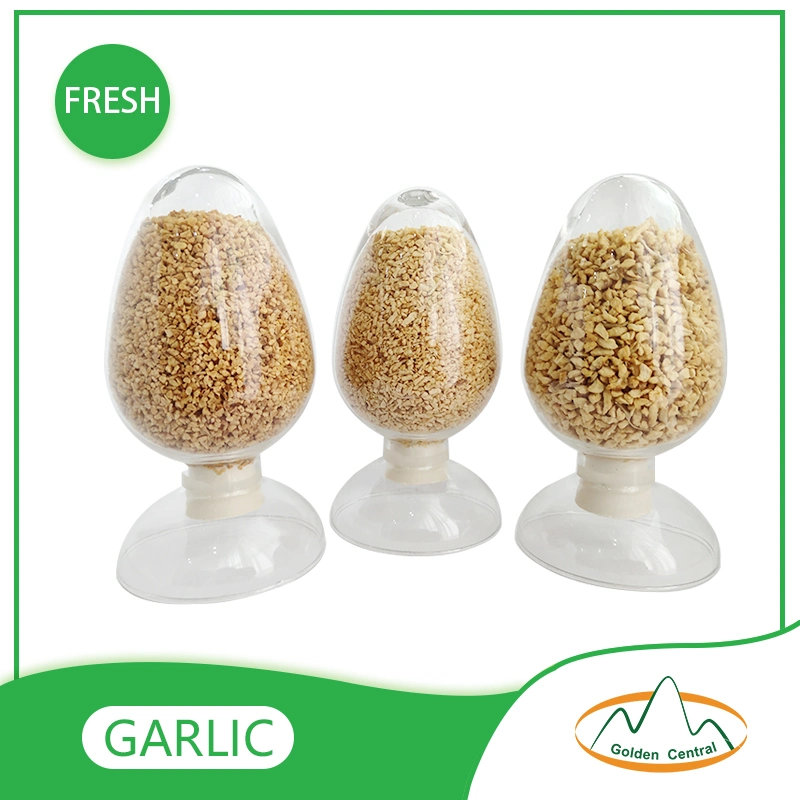 Import Ajo Granulado Chino Garlic Granules for Home Cooking