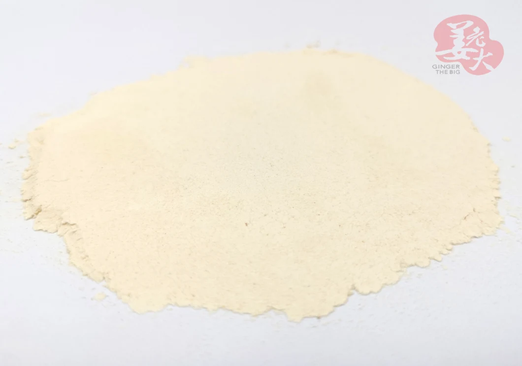 Grade A White Dehydrated Onion Powder