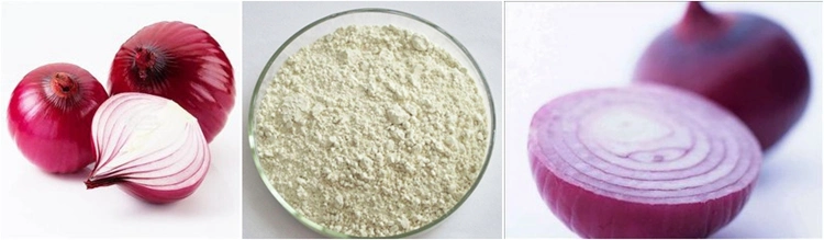 Well sold dried onion powder with competitive price