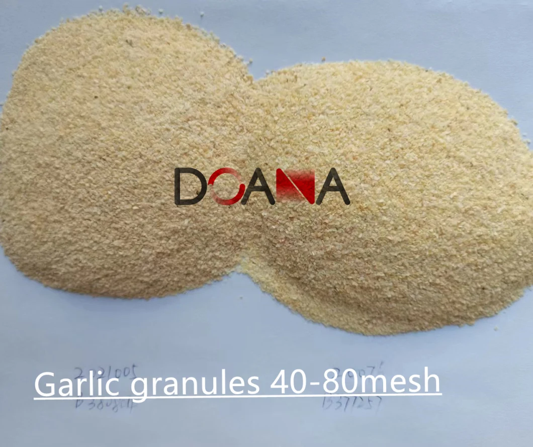 Made in China Garlic Products Dehydrated Garlic Powder Granule Garlic