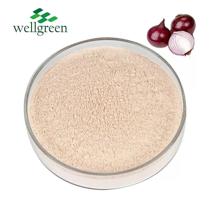 Wellgreen Dehydrated Organic GMP Standard Snack Food Ingredients Red Powder Onion